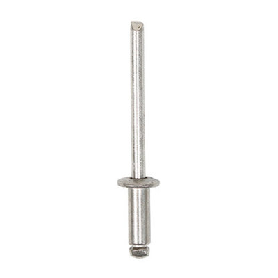 Timco Rivets Dome Head A2 Stainless Steel4.0 X 10 from B&Q