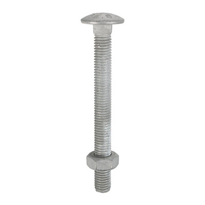 Timco - Carriage Bolts & Hex Nuts - Hot Dipped Galvanised (Size M8 X 130 - 50 Pieces)