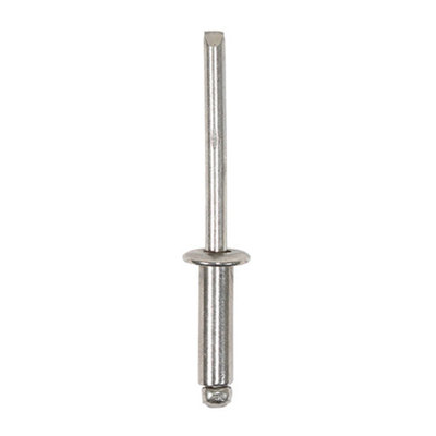 Timco Rivets Dome Head A2 Stainless Steel4.0 X 10 from B&Q