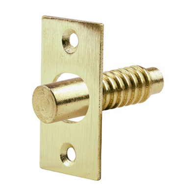 TimcoHinge BoltsElectro Brass (Size 48mm2 Pieces) from B&Q