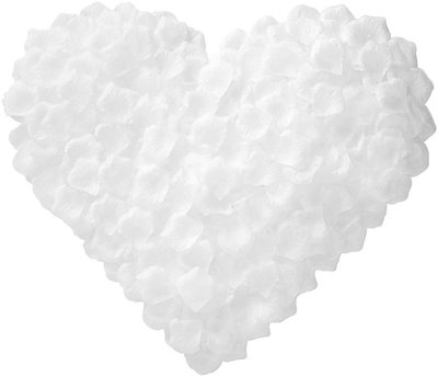Shatchi 400Pcs White Silk Rose Petals Wedding Mothers Day Wedding Confetti Anniversary Table Decorations from B&Q
