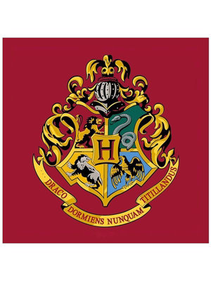 Harry Potter Emblem Square Rug from B&Q