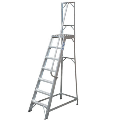 1.7M Heavy Duty Single Sided Step Ladder With HandrailSafe And Sturdy Platform from B&Q