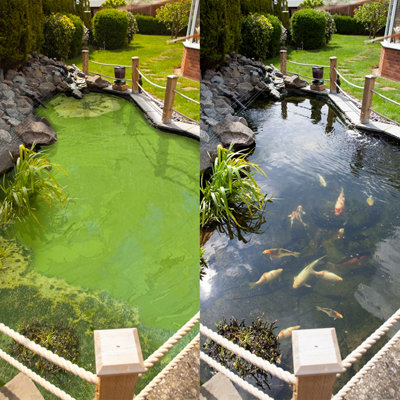 You Garden Blooming Fast Pond Clear Pro 2 Step PackMedium Treats Up To 20,000L from B&Q