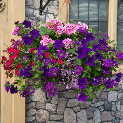 You Garden Yougarden Preplanted 'summer Sensation' Hanging Baskets2 X 25Cm Hanging Baskets For Immediate Display from B&Q