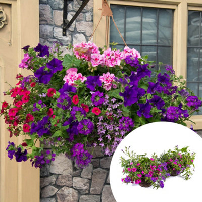 You Garden Yougarden Premium Preplanted 'summer Sensation' Rattan Hanging BasketsPair Of 35Cm Baskets For Immediate Display from B&Q