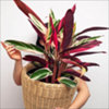 Found it product image.