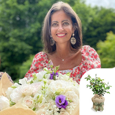 You Garden Harkness Roses The Dame Deborah James RoseGift Wrapped 4 Litre Pot For Immediate PlantingRoses Plants For Outdoor Delicate Fra from B&Q