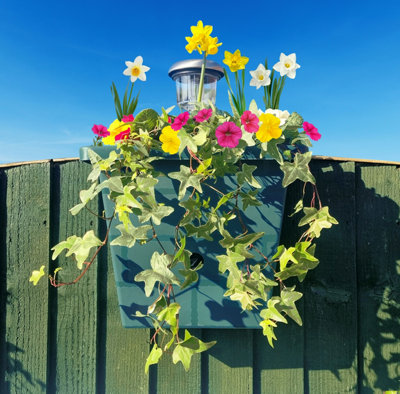 You Garden Yougarden 4-In-1 Self Watering Go Illumiwell PlanterForest Green3L Water ReservoirSolar Fence LightGarden Décor from B&Q