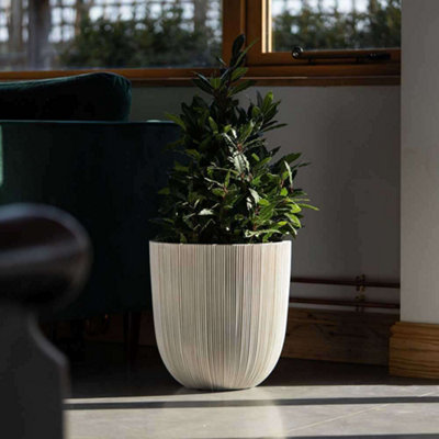 Primrose Flower Pot Round Plant Pot Ridged Plastic Planter Small 38Cm from B&Q