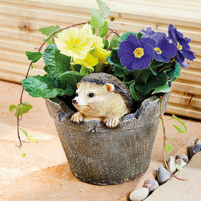 Weather Resistant Polyresin Hedgehog Plant Pot Holder  Indoor & Outdoor Use15.5Cm High from B&Q