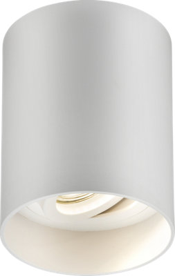 Luminosa Lighting Luminosa Knightsbridge Oran Surface Tilt Round Downlight WhiteOra1Trw from B&Q