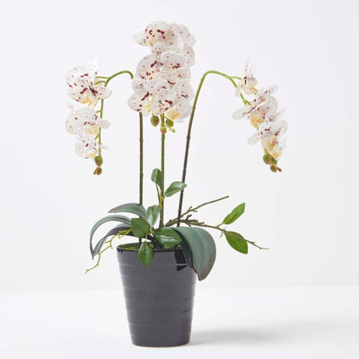 Homescapes Artificial White Handcrafted Orchid Phalaenopsis In Ceramic Pot56 Cm from B&Q