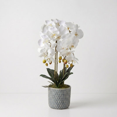 Homescapes Artificial Cream Orchid In Blue Ceramic Pot from B&Q