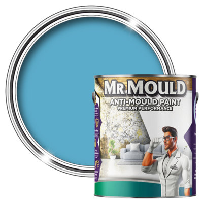 Mr MouldAnti-Mould PaintPremium Colour & Protection For Interior Walls & CeilingsPale Blue1L from B&Q