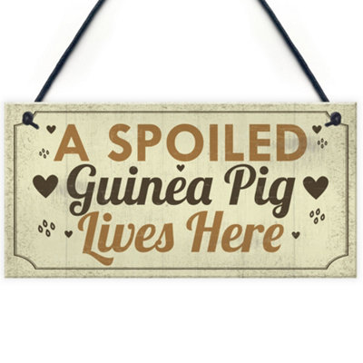 Red Ocean A Spoiled Guinea Pig Lives Here Hanging Plaque Beautiful Handmade Gift Sign For Guinea Pig Owners Friendshiip Gift from B&Q