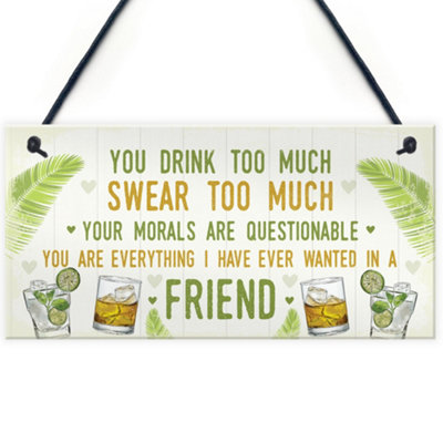 Red Ocean Funny Best Friend Friendship Sign Drink Too Much Gin Vodka Birthday Gift from B&Q