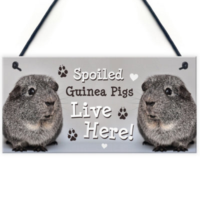 Red Ocean Spoiled Guinea Pigs Live Here Handmade Gift Sign For Guinea Pig Owners Pet Gift from B&Q
