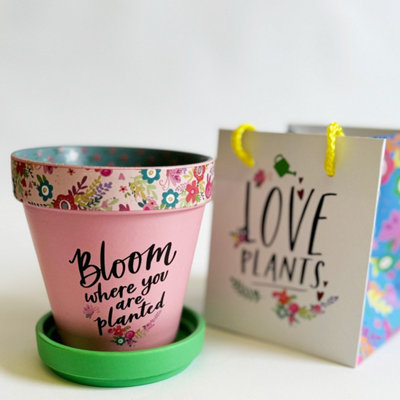 Love Plants Pot Bloom Where You Are Planted from B&Q