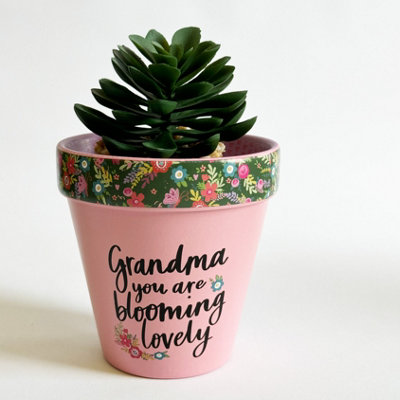 Love Plants Pot Grandma You Are Blooming Lovely from B&Q