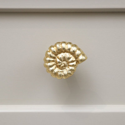 B&Q -  Gold Fossil Drawer Knob