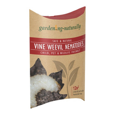 Vine Weevil Nematodes Natural Organic Killer Treats 12sq.m Pet & Child Friendly - Image 3