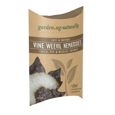 Vine Weevil Nematodes Natural Organic Killer Treats 100 Sq.m from B&Q