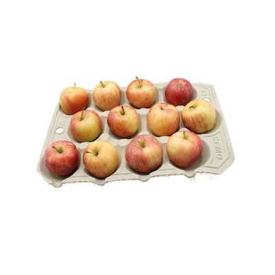 Gardening Naturally Biodegradable Apple Trays (Pack Of 20) from B&Q