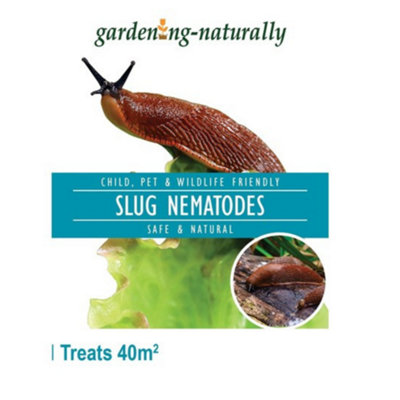 B&Q -  Slug Nematodes Natural Garden Pest Control For Slugs 40Sq.m