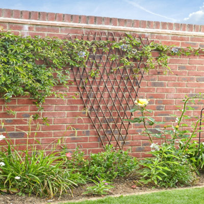 Gardening Naturally Willow Fan Trellis Expanding  (1.8 X 0.9M) from B&Q