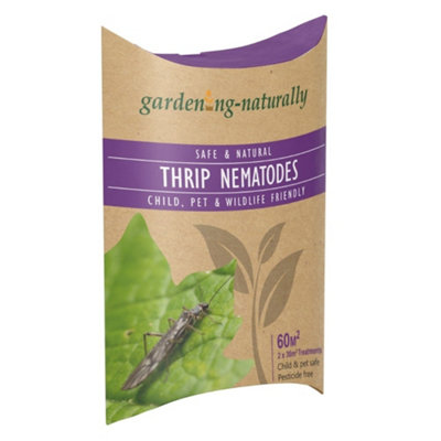 Thrip Nematodes (Thunder Flies) 2 X 30 Sq.m Gardening Naturally - Image 3