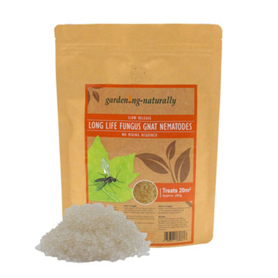 Gardening Naturally Long Life Fungus Gnat Nematodes 20Sq.m (280G) from B&Q