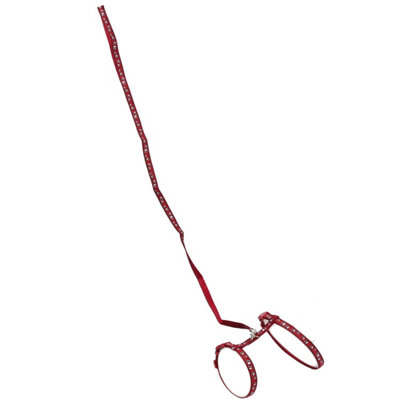 AB Tools Burgundy Small Animal Paw Print Harness & Lead (Neck14-20/chest18-28Cm) from B&Q