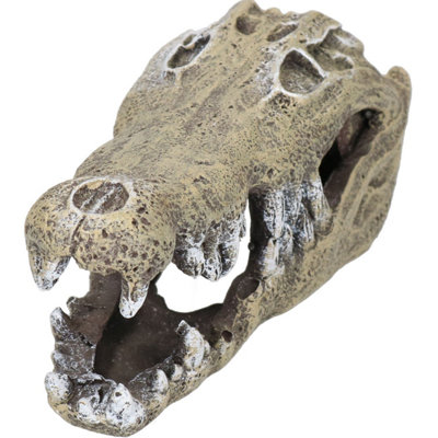 B&Q -  Small Aquatic Aquarium Nile Crocodile Skull Fish Tank Ornament 6X7X15Cm