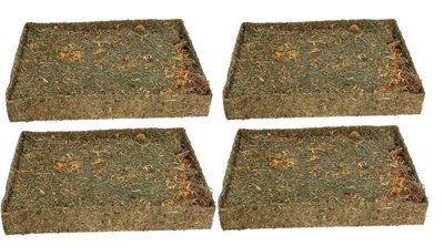 AB Tools 4Pk Small Animal Pet Treat Rabbit Guinea Pig Nibble 'n' Dig Meadow from B&Q