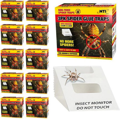 Set Of 30 Spider Traps Non Toxic Catcher Sticky Boards Insects Bugs Home from B&Q