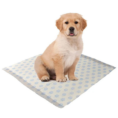 STAR SUPPLIES 40 Sheets Of 60X40Cm 3 Highly Absorbent Layers Of Hygienic Easy To Dispose Leak Proof Dog Puppy Toilet Training Pads from B&Q