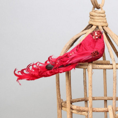 Pair Of Decorative Red Showfeather Birds With Clip. Craft Accessory. from B&Q