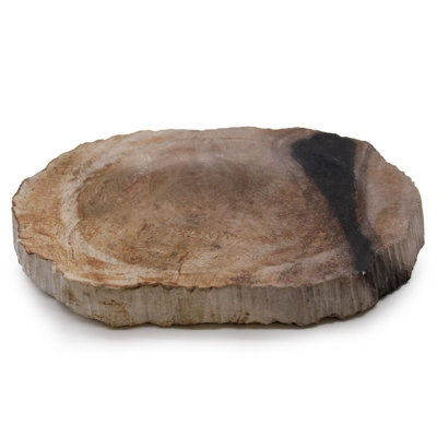 Serenityy Aw Dropship Uk Petrified Wood Soap DishBrown/blackHandcrafted Polished Top from B&Q