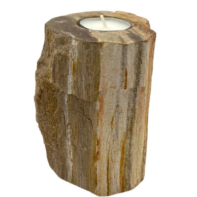 Serenityy Petrified Wood Candle HolderSingle TallHand-Carved Tealight HolderNatural Brown Matt Finish from B&Q