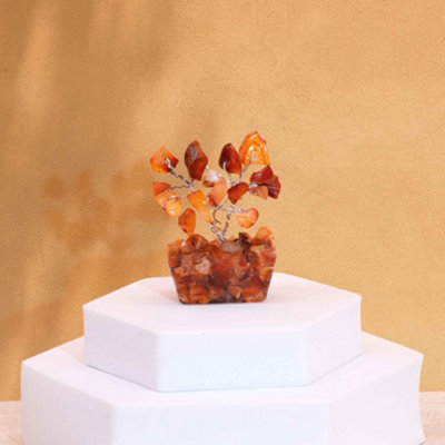 Serenityy Mini Carnelian Gemstone Tree On Orgonite Base15 StonesPack Of 125 Cm Height