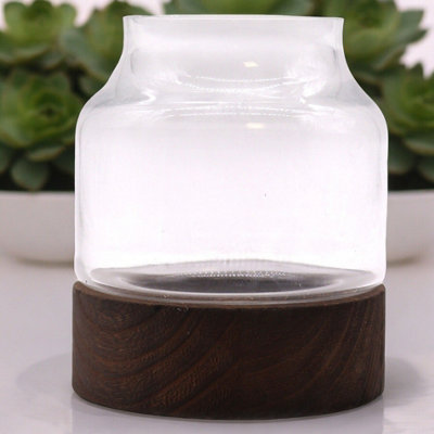 B&Q -  Medium Shaped Glass Terrarium On Dark Tung Wood Base16X18Cm