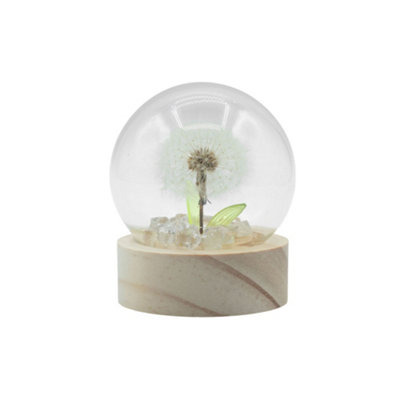 Floral Glow Single Dandelion Dome Battery Powered Led Decorative Light from B&Q