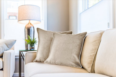  - Plush Velvet Cushion Cover In Taupe