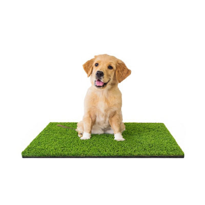 Walplus Summer Turf 30mm Artificial Grass (1M X 0.8M) Polyethylene from B&Q