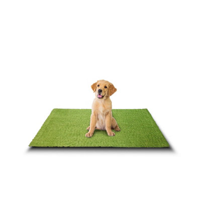 Summer Turf 20mm Artificial Grass (1M X 0.8M) from B&Q