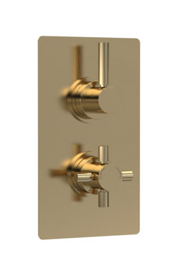 Hudson Reed Tec Pura Twin Thermostatic Shower Valve With DiverterPremium Bathroom Concealed Shower Valve In Brushed Brass from B&Q