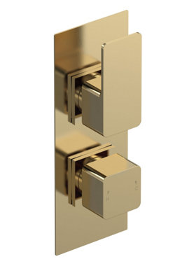 Swinscoe Contemporary Square Concealed Twin Thermostatic Shower Valve With Diverter215mmBrushed Brass By Balterley from B&Q