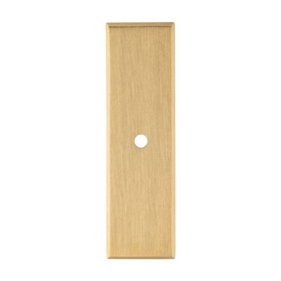 Alexander & Wilks Rectangular Cabinet Knob Backplate-Satin Brass Pvd from B&Q