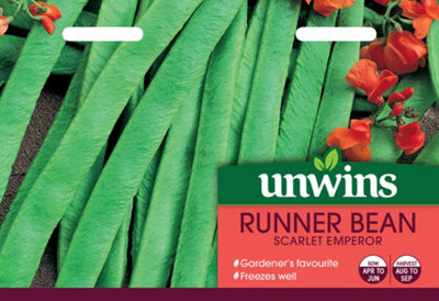 B&Q -  Unwins Runner Bean Scarlet Emperor